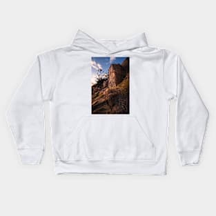 Rock Faces Kids Hoodie